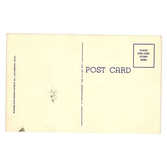 Varieties Of Desert Cacti Vintage Postcard Western Publishing Los Angeles CA - Picture 2 of 2